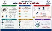 هر آنچه در باره پشه آئدس باید بدانیم.